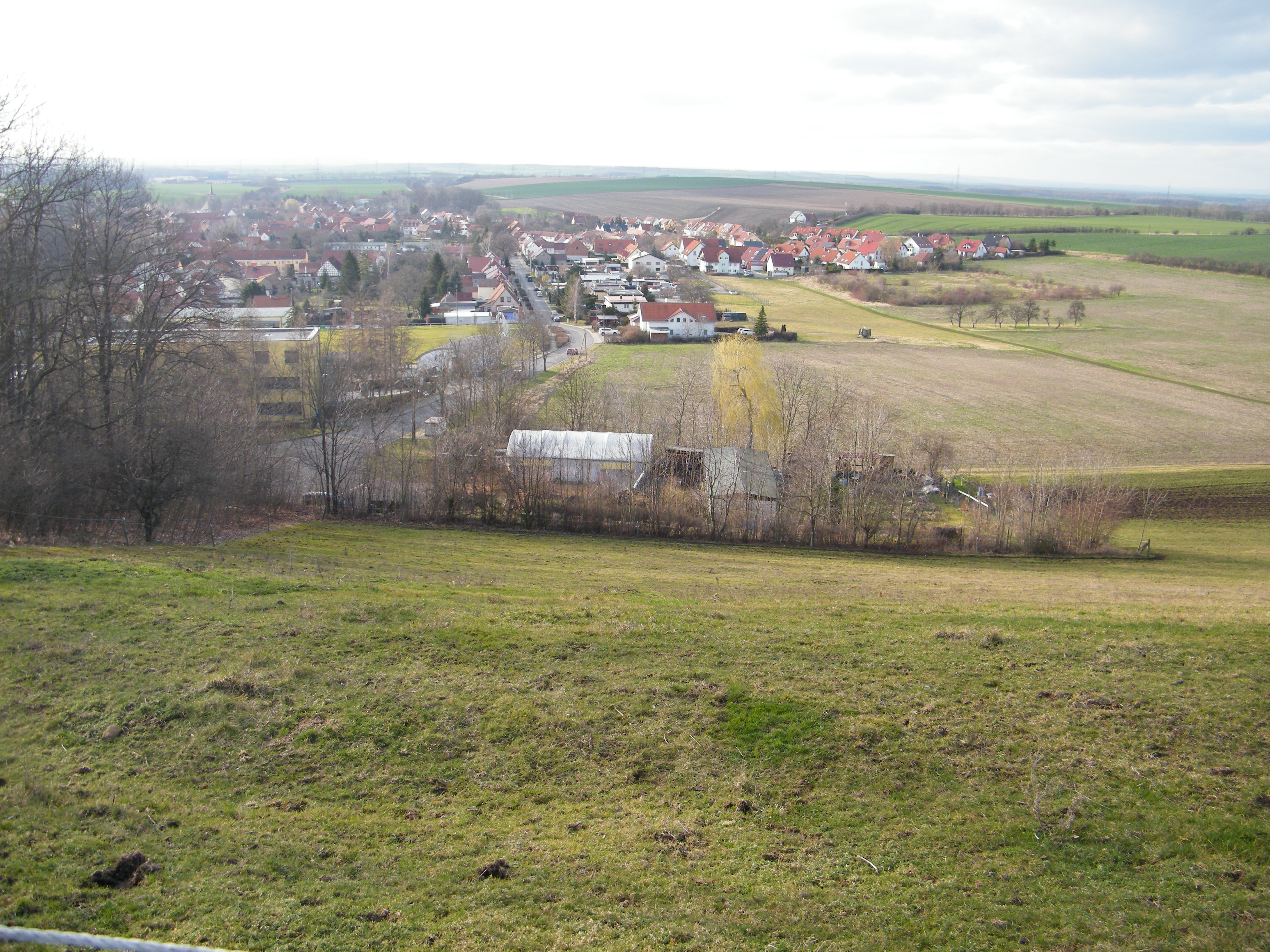 Foto Niederzimmern Blick